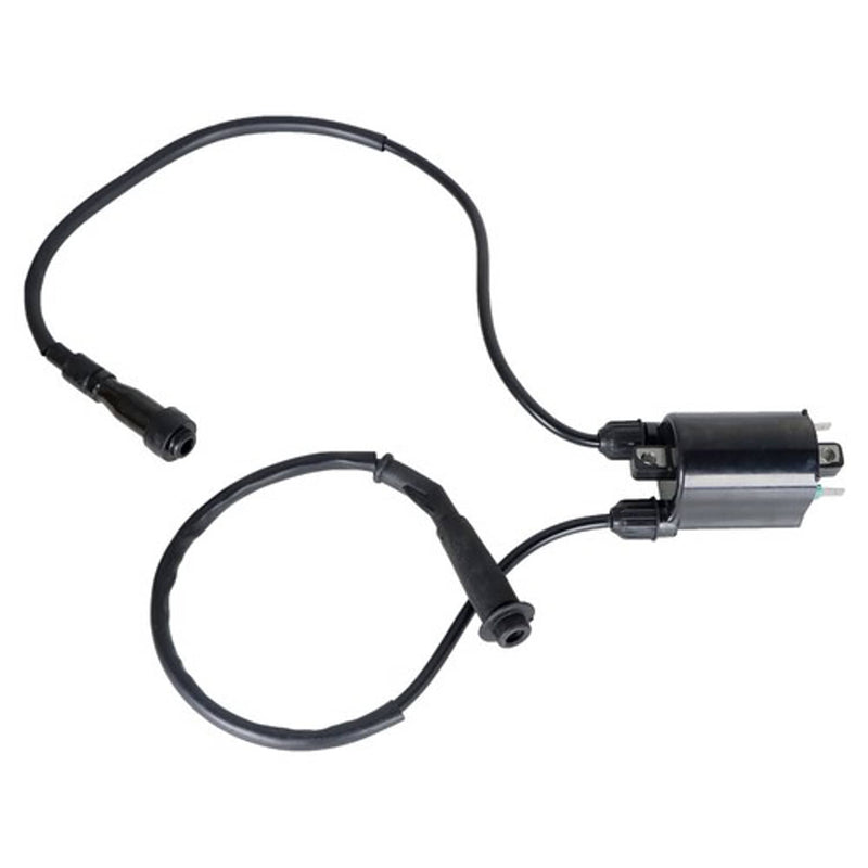 DURAFORCE Ignition Coil & Spark Plug Cap×2 Fit For Honda VT600C VT600Cd Shadow VLX 88-07