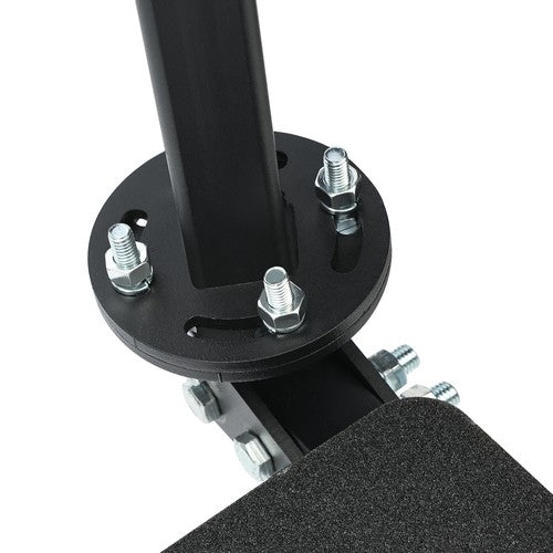 2 Step 360 Dual Boat Trailer Steps Trailer Step with Handle for Bass Boat