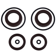 DURAFORCE Steering Cylinder Seal Kit for HC5345 FSM051 HS5167 HC5340 HC5341 C5348