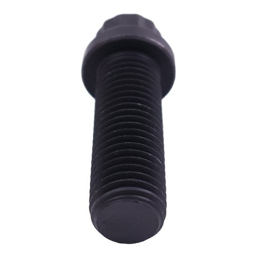 205584 Twelve Point Cap Screw