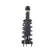 DURAFORCE Front Shock Strut Coil Spring Assy for Tesla Model S AWD 70D 90D 100D 2015-2019