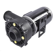 DURAFORCE 4 HP 56Y Frame 230 Volt Dual-Speed Swimming Hot Tub & Spa Pump For 3711621-1D