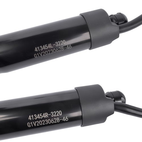 DURAFORCE Pair Rear Tailgate Power Hatch Lift Support for Hyundai Santa Fe Sport 2015-2018