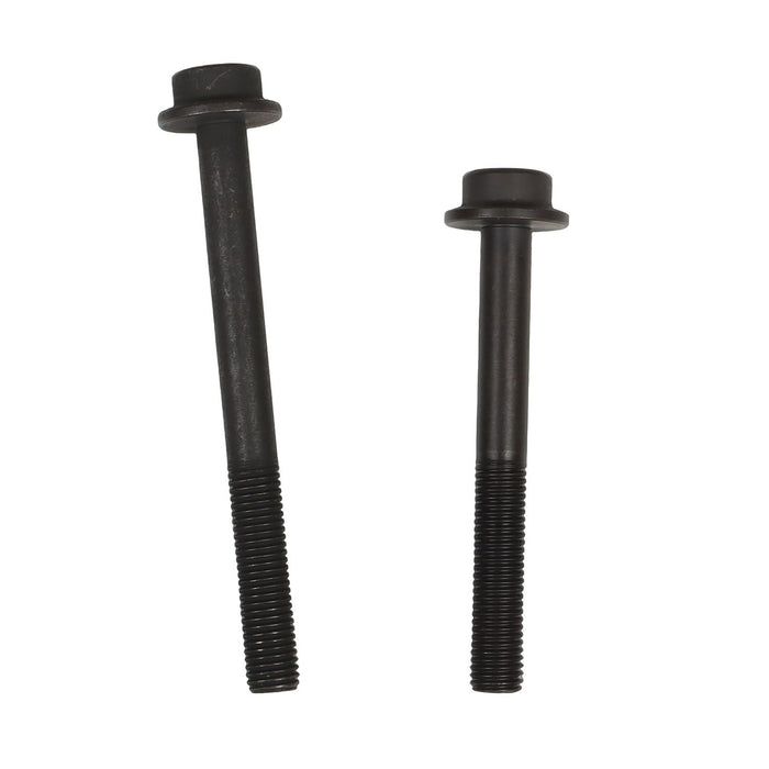 DURAFORCE 2011-2017 Ford F-150 Lincoln MKX 3.5L Timing Chain Kit with VVT Cam Phasers