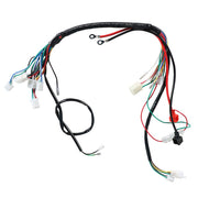 DURAFORCE New Electric Wiring Harness for Taotao GoKart ATV 50-125CC Replacement