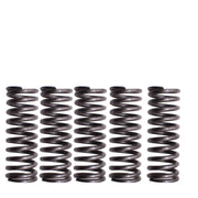 DURAFORCE For Honda TRX400X 2x4 2009 2012-2014 New Clutch Kit & Heavy Duty Springs