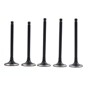 DURAFORCE Yamaha Raptor 660R Engine Intake & Exhaust Valves 2001-2005 ATV Parts