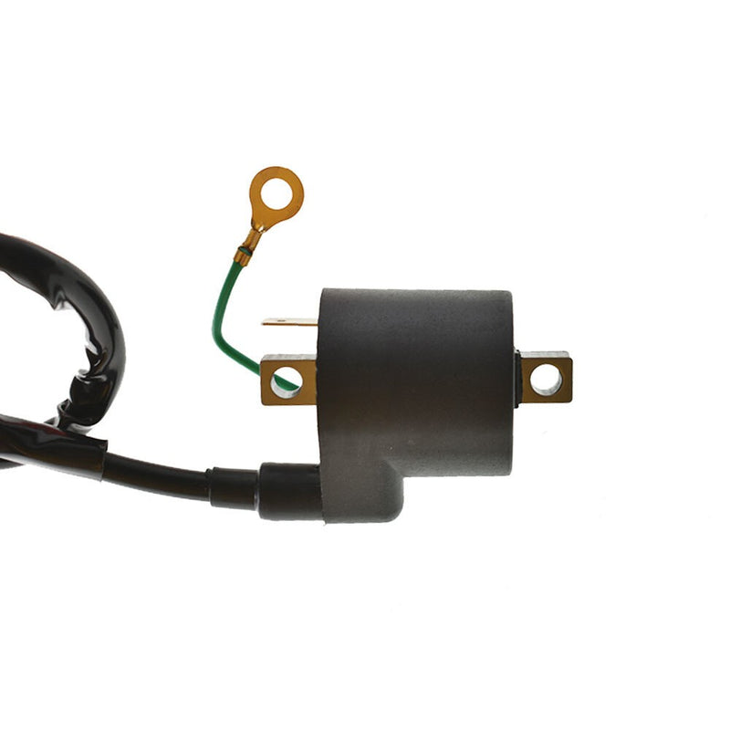 DURAFORCE Polaris Sportsman 500 1996-2002 Ignition Coil & Spark Plug 3085228