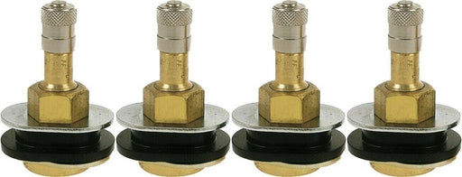 DURAFORCE TR501OV 1.5" Brass Clamp-In Oval Tubeless Truck Tire Valve Stem 4 Pack