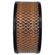 DURAFORCE Air Filter 366-07188 for TS TS2 TR1 TR2 LT1 LT2 LV1 LV2 LPA2 LPA3 LPW2 Engine