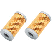 DURAFORCE 2Pcs Fuel Filter 129100-55650 for Yanmar F320 F32EX F360 F37EX F420 YB231 YB251
