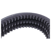 DURAFORCE Bobcat Main Drive Pump Belt 7146391 for S550 S530 S510 S590 S570 T590 T550 64
