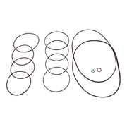 DURAFORCE Bobcat Seal Kit 6676021 for Skid Steer Loaders 863 883 S220 S300 S650 S770