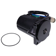 DURAFORCE Tohatsu 3E577180 Tilt Trim Motor 12V for 4T 40-50HP Outboard MD40B 3Z5-77180-0