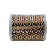 DURAFORCE New 1014219M92 Oil Filter for Massey Ferguson 135 150 165 202 203 204 Models