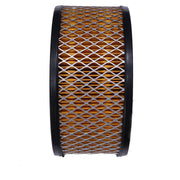 DURAFORCE Air Filter AF25530 P607240 For LP Engine LPWS3 TS1 TS2 TR1 TR2 LT2 LV1 LV2 PJW1