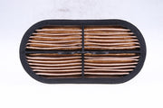 DURAFORCE Fleetguard AF26655 Air Filter Replacement Compatible with Wix 49276 P600975