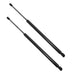 DURAFORCE 2x Rear Hatch Lift Supports Struts Shock for Chevy GMC Cadillac 07-14