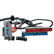 DURAFORCE LS1-4L60E Stand Alone Harness for 97-06 LS1 4.8 5.3 6.0 Drive by Cable Engines
