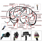 DURAFORCE Wiring Harness Stand Alone LS1-4L60E For LS SWAPS DBC 4.8 5.3 6.0 97-06