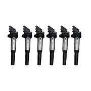 DURAFORCE 6 x Ignition Coil Pack For BMW 545i 535xi 535i 530xi 530i 528i 12137551049