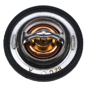 DURAFORCE 82°C Thermostat 25-37559-01 25-37558-00 for Carrier CT 4.91 / 4.134 Engine V1505