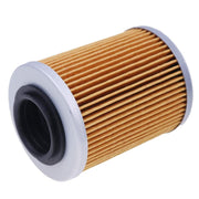 DURAFORCE 2PCS Oil Filter 0800-011300 for CFMoto CF500 400 500cc 800cc CF800 X8 ATV UTV