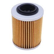 DURAFORCE 2PCS Oil Filter 0800-011300 for CFMoto CF500 400 500cc 800cc CF800 X8 ATV UTV