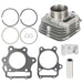 DURAFORCE Cylinder Piston Gasket Kit For Honda Sportrax 300 TRX300EX 2x4 1993-2008 New