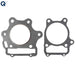 DURAFORCE Cylinder Piston Gasket Kit For Honda Sportrax 300 TRX300EX 2x4 1993-2008 New