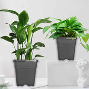 DURAFORCE 10 Pack Square Nursery Cup Garden Plastic 5 Gallon Plant Care Flower Pots