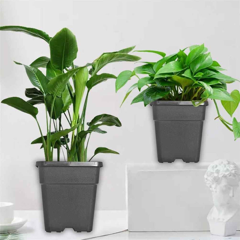 DURAFORCE 10 Pack Square Nursery Cup Garden Plastic 5 Gallon Plant Care Flower Pots