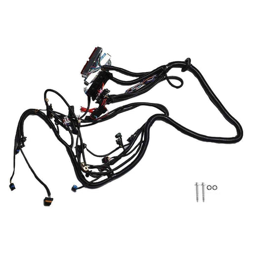 DURAFORCE Stand Alone Harness For LS SWAP 4.8 5.3 6.0 97-06 Drive by Cable DBC 1PC