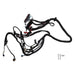 DURAFORCE Stand Alone Harness For LS SWAP 4.8 5.3 6.0 97-06 Drive by Cable DBC 1PC