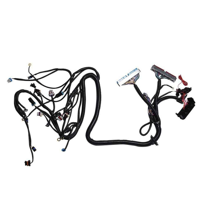 DURAFORCE Stand Alone Harness For LS SWAP 4.8 5.3 6.0 97-06 Drive by Cable DBC 1PC