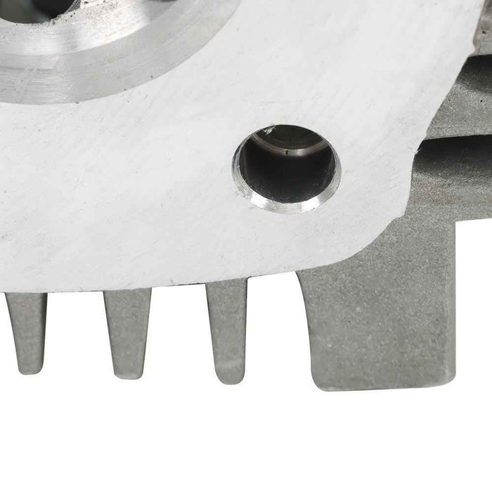 DURAFORCE Fit For KAZUMA MEERKAT 50 50CC KIDS QUAD BRAND NEW CYLINDER HEAD ASSEMBLY Engine