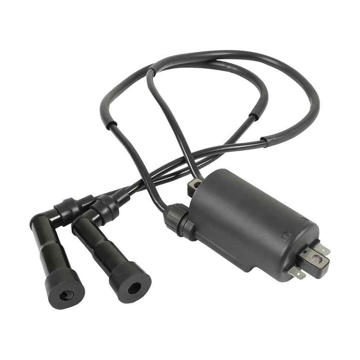 DURAFORCE Ignition Coil & Plug W/ Cap For Honda Goldwing 1200 GL1200 1100 GL1100