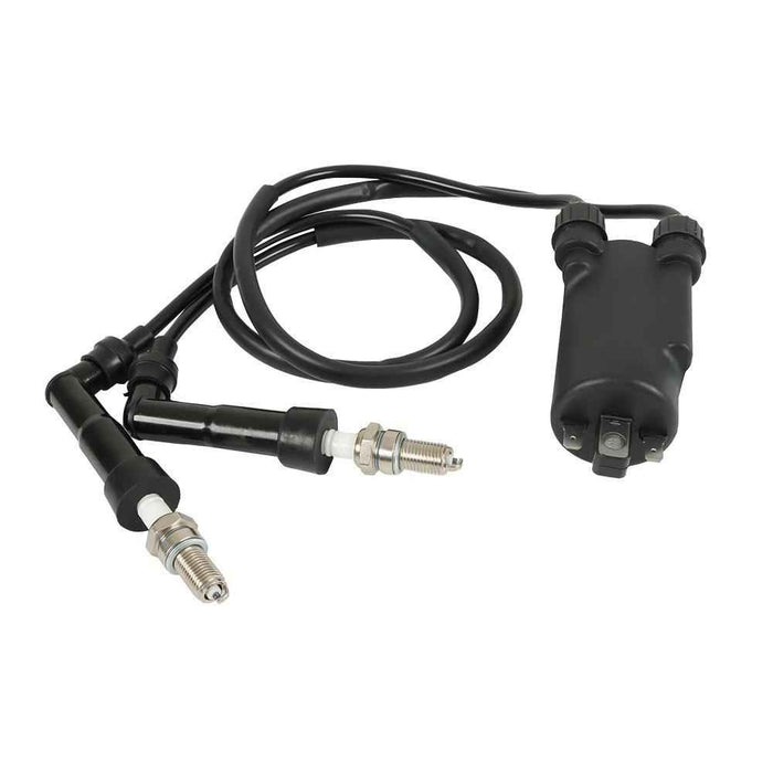 DURAFORCE Ignition Coil & Plug W/ Cap For Honda Goldwing 1200 GL1200 1100 GL1100
