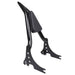 DURAFORCE For Sportster 1200 883 2004-up Detachable Rear Passenger Sissy Bar Backrest USA