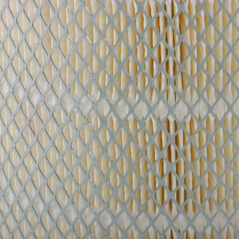 DURAFORCE 1698941C1 For Peterbilt 386 International Freightliner Trucks Air Filter LAF2536