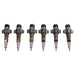 DURAFORCE 6Pcs Fuel Injector 5579403 2872127 4954927 for Cummin 6C8.3 QSL8.3 ISC8.9 ISL8.9