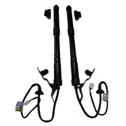 DURAFORCE 1 Pair Power Liftgate Actuator 68910-09014 68920-09014 for Toyota RAV4 2013-2018