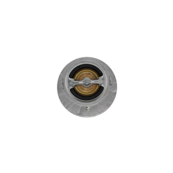 DURAFORCE Thermostat 145206182 145206170 145206180 for Shibaura New Holland TC30 TC33D