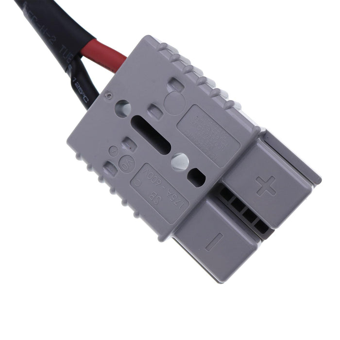 DURAFORCE For Big Joe CB22 Counterbalanced Stackers Battery Charger 25A 110V