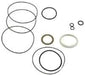 DURAFORCE Seal Kit 9900348-000 for Eaton Char-Lynn Wheel Motor VIS 30-005 VIS 40-004