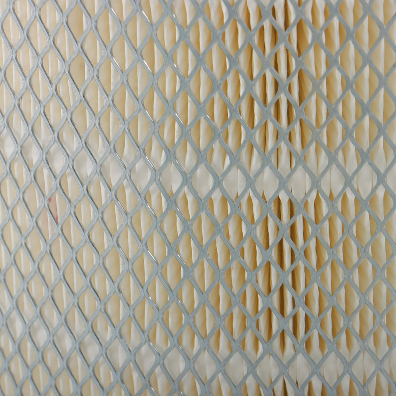 DURAFORCE Trucks 1698941C1 Engine Air Filter For International Freightliner Peterbilt 386