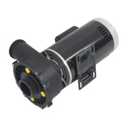 DURAFORCE 5 HP 2-Speed Spa & Hot Tub Pump 230V 3722021-1D 56Y-Frame Spa Pump Replace Black