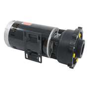 DURAFORCE 4 HP 230V 2-Speed Spa Pump 3721621-13 56Y Frame Hot Tubs Dual-Speed For Hot Tub