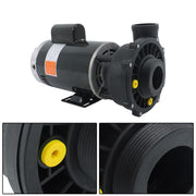 DURAFORCE 4 HP 230V 2-Speed Spa Pump 3721621-13 56Y Frame Hot Tubs Dual-Speed For Hot Tub