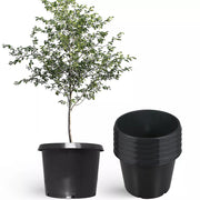 DURAFORCE 10 Pack 25 Gallon Large Premium Nursery Pot Root Garden Container Black Plastic